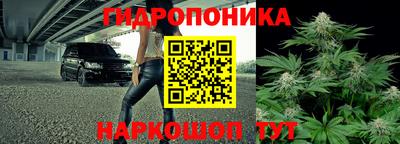 jwh Камышлов